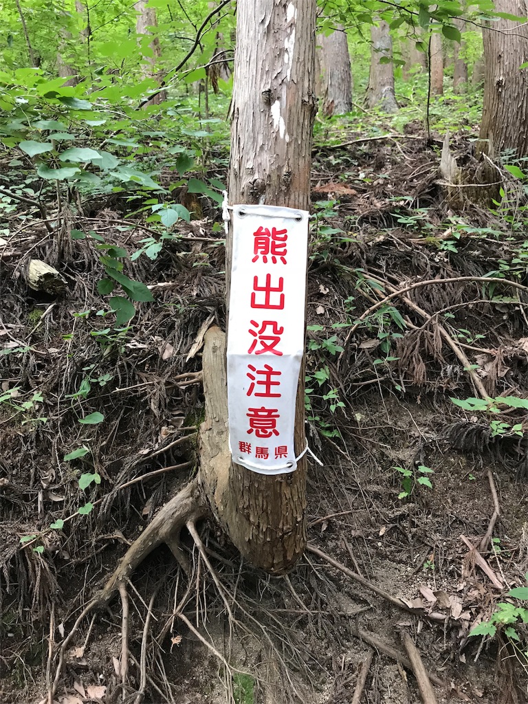 f:id:translationblog:20181026232951j:image f:id:translationblog:20181026232951j:image