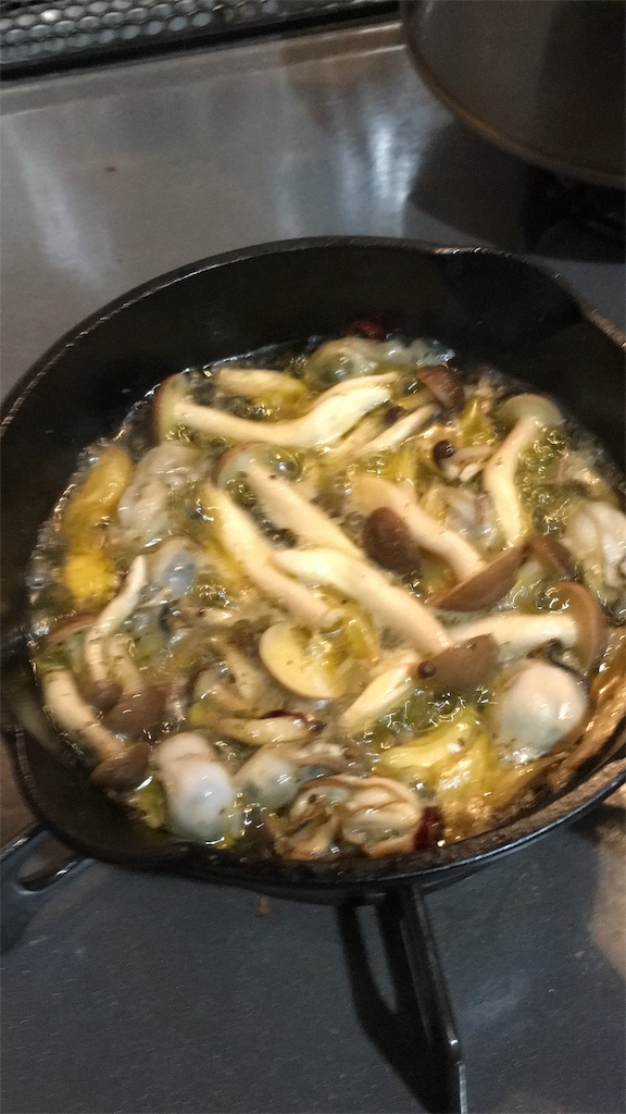 f:id:translucence:20190125225607j:image f:id:translucence:20190125225607j:image