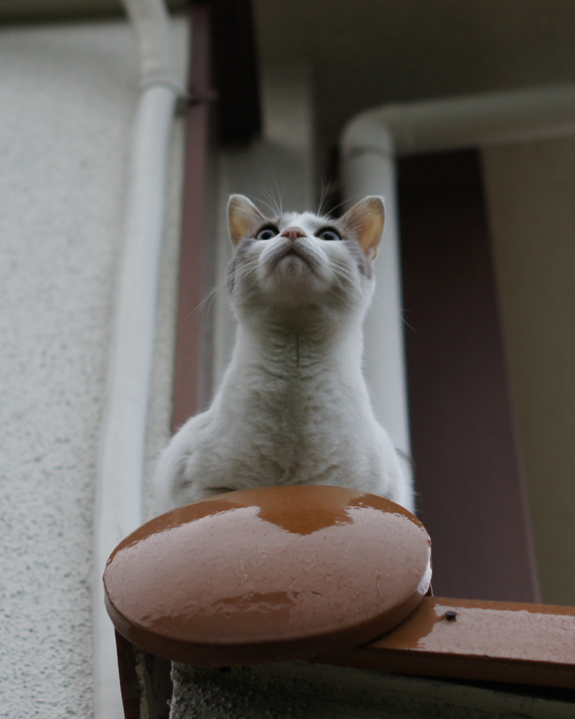 20100615233038