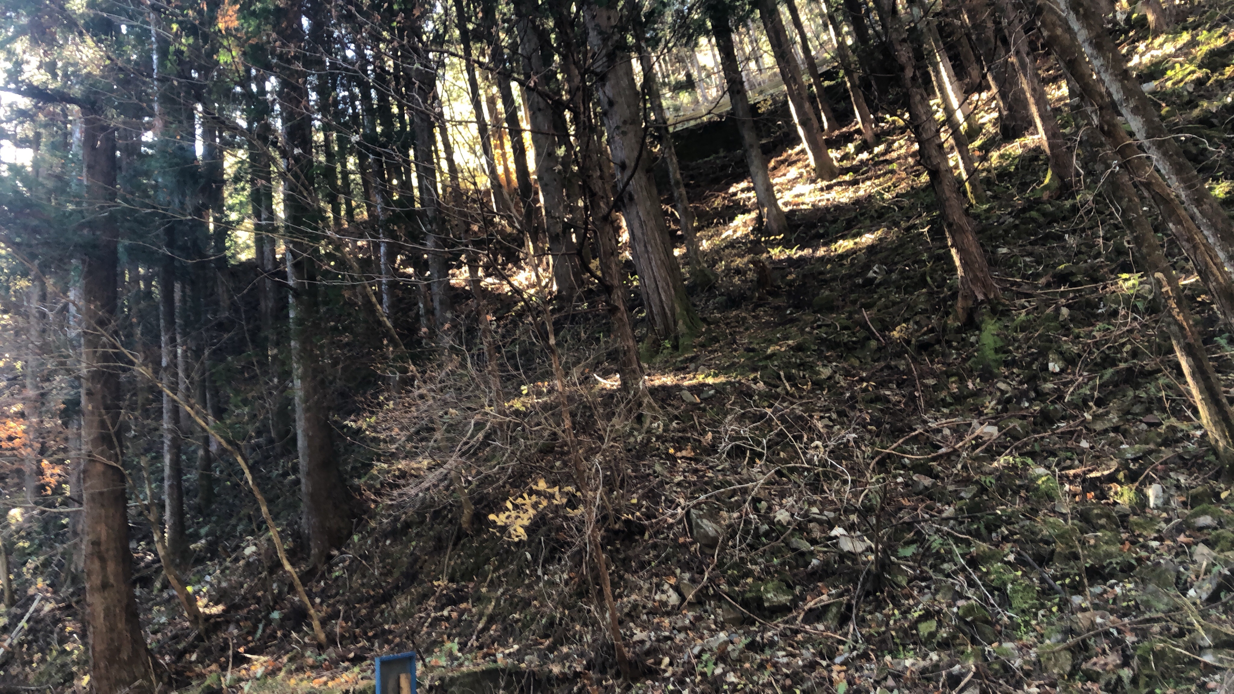 f:id:transonic-elite:20201121220643j:image f:id:transonic-elite:20201121220643j:image