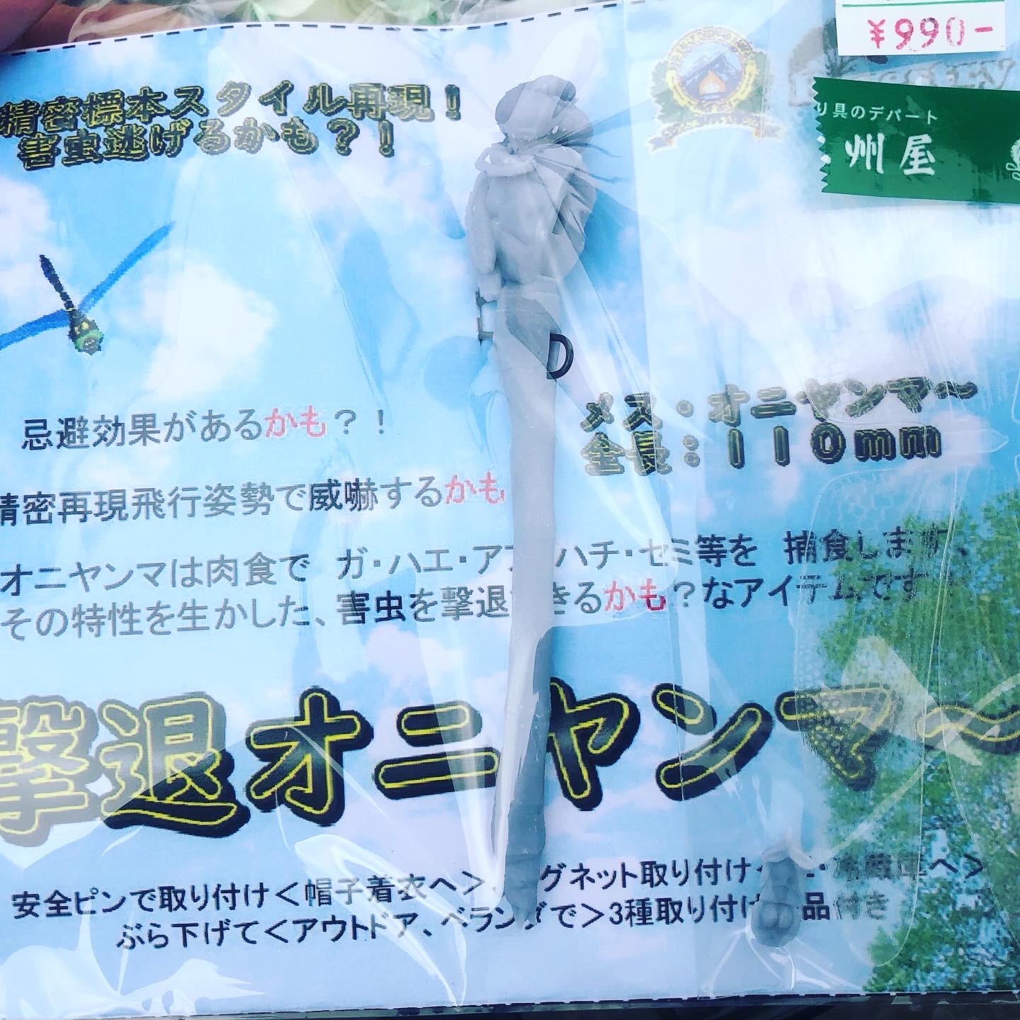 f:id:transonic-elite:20210831194718j:image