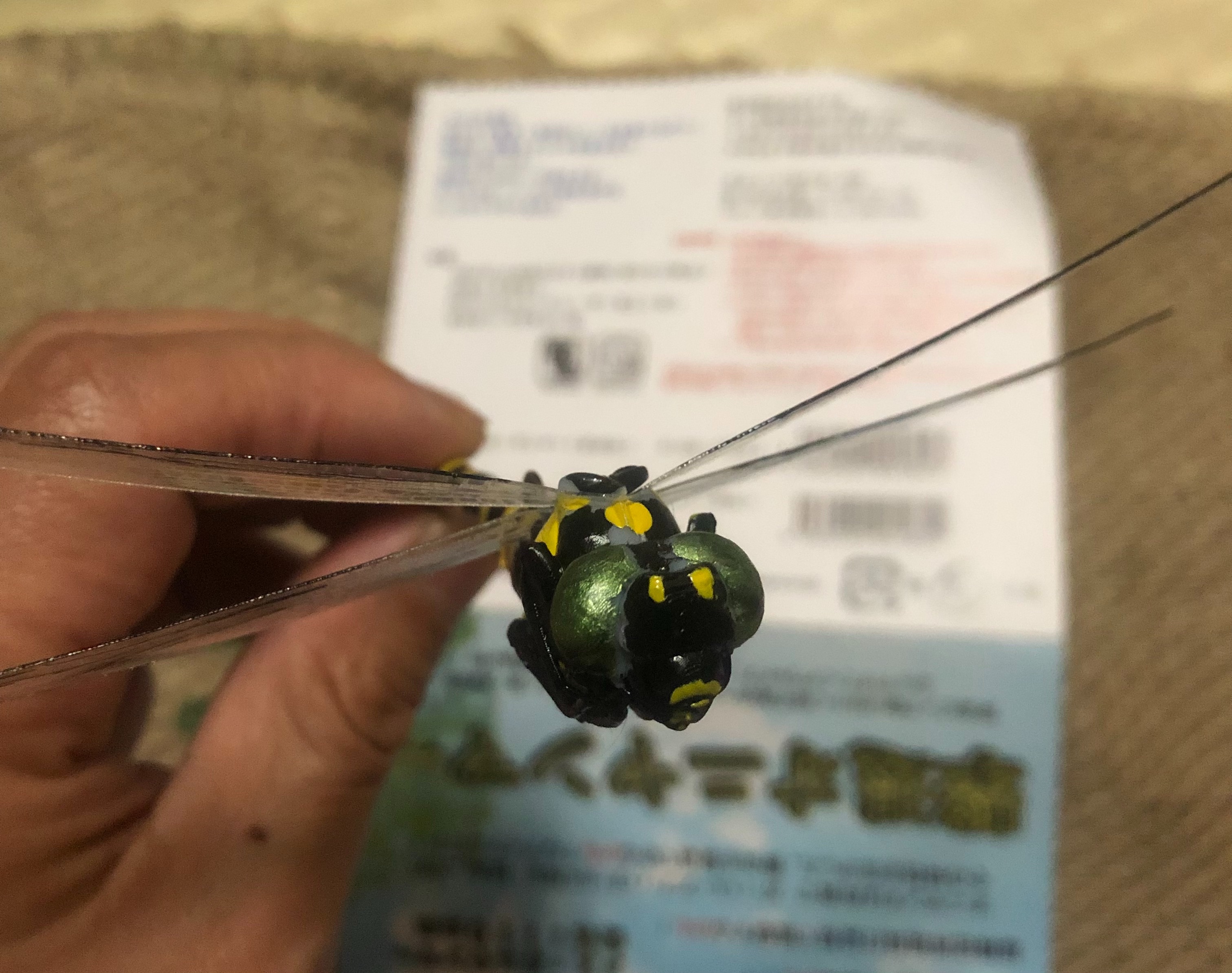 f:id:transonic-elite:20210905080823j:image