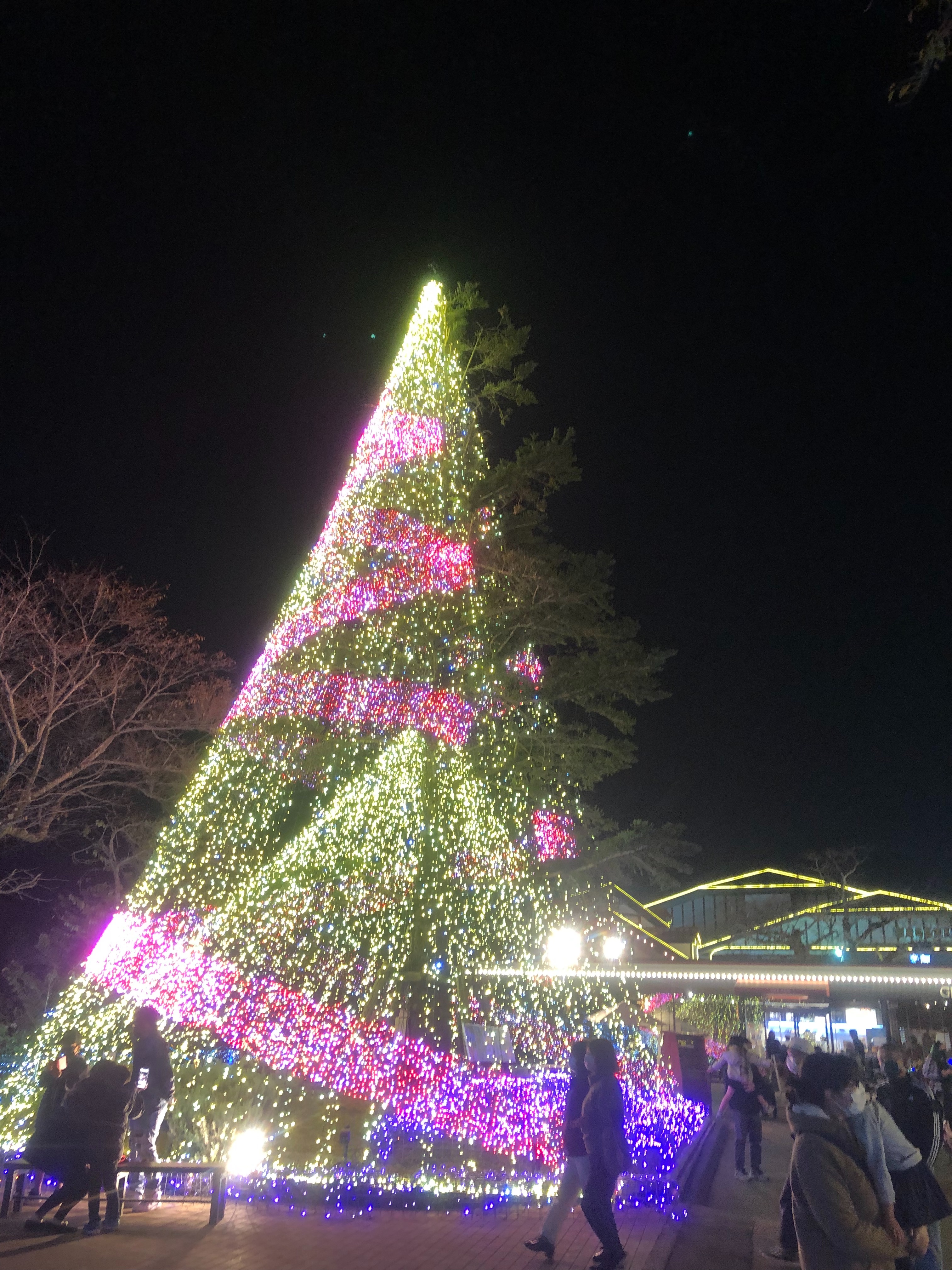 f:id:transonic-elite:20211103121620j:image
