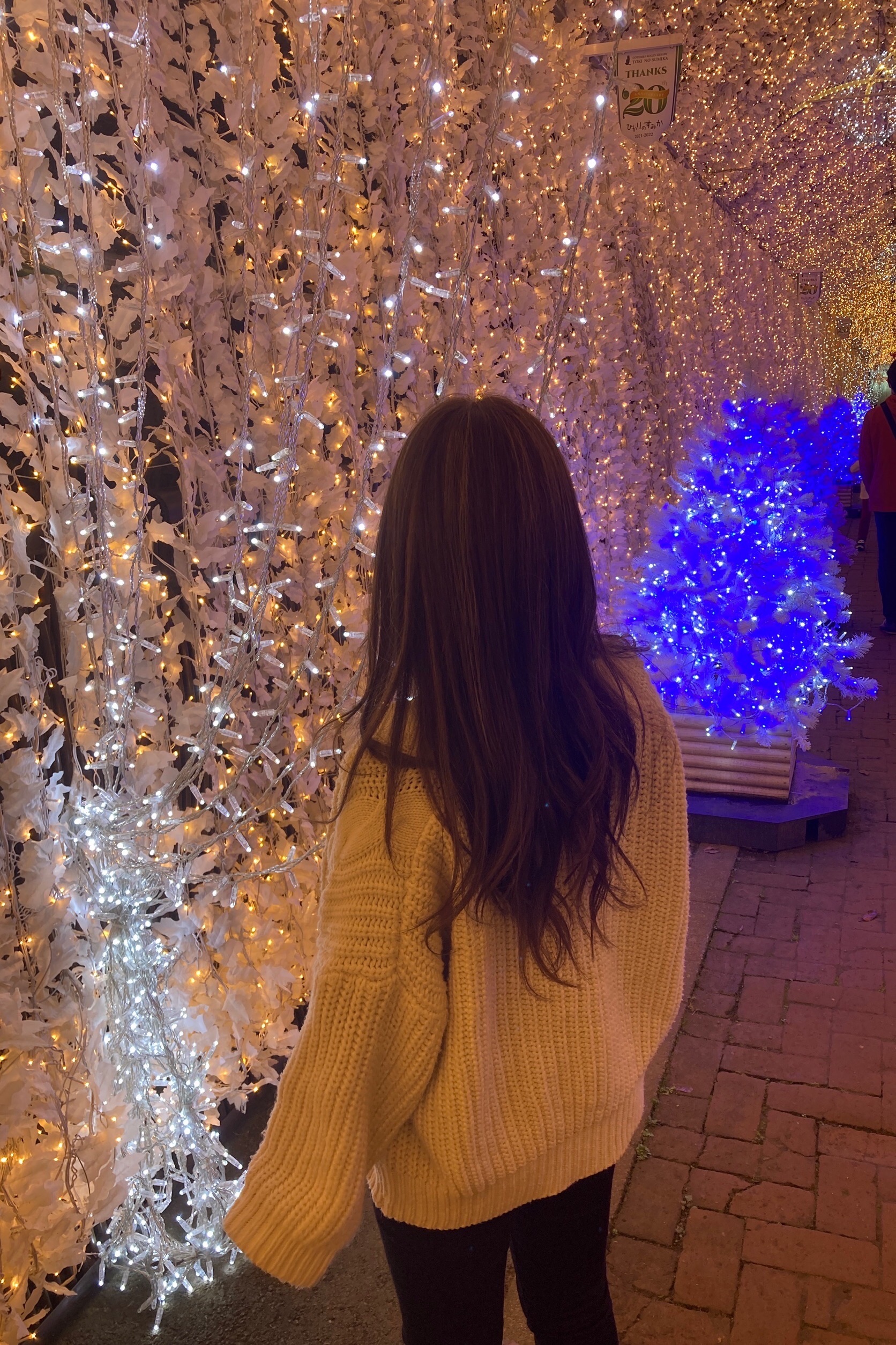 f:id:transonic-elite:20211103205238j:image