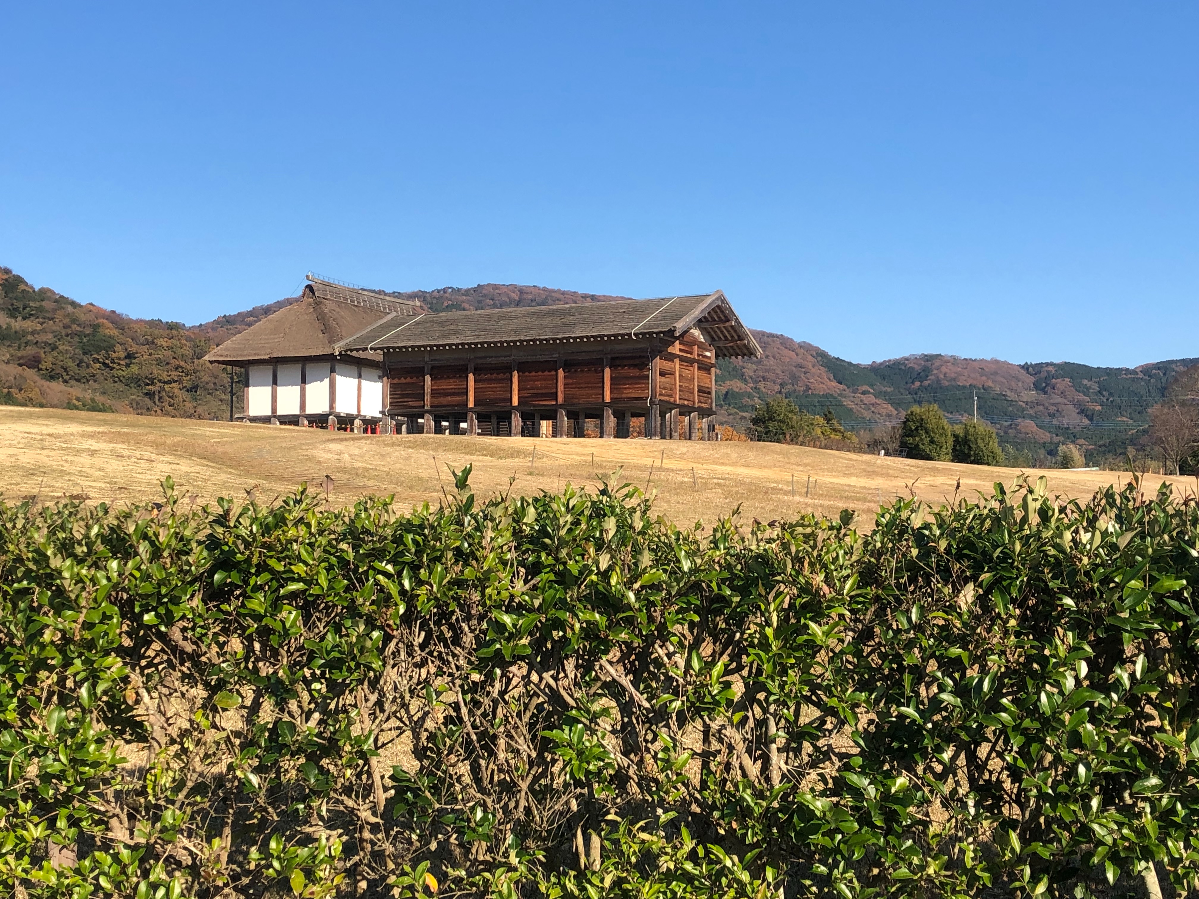 f:id:transonic-elite:20211204063814j:image f:id:transonic-elite:20211204063814j:image