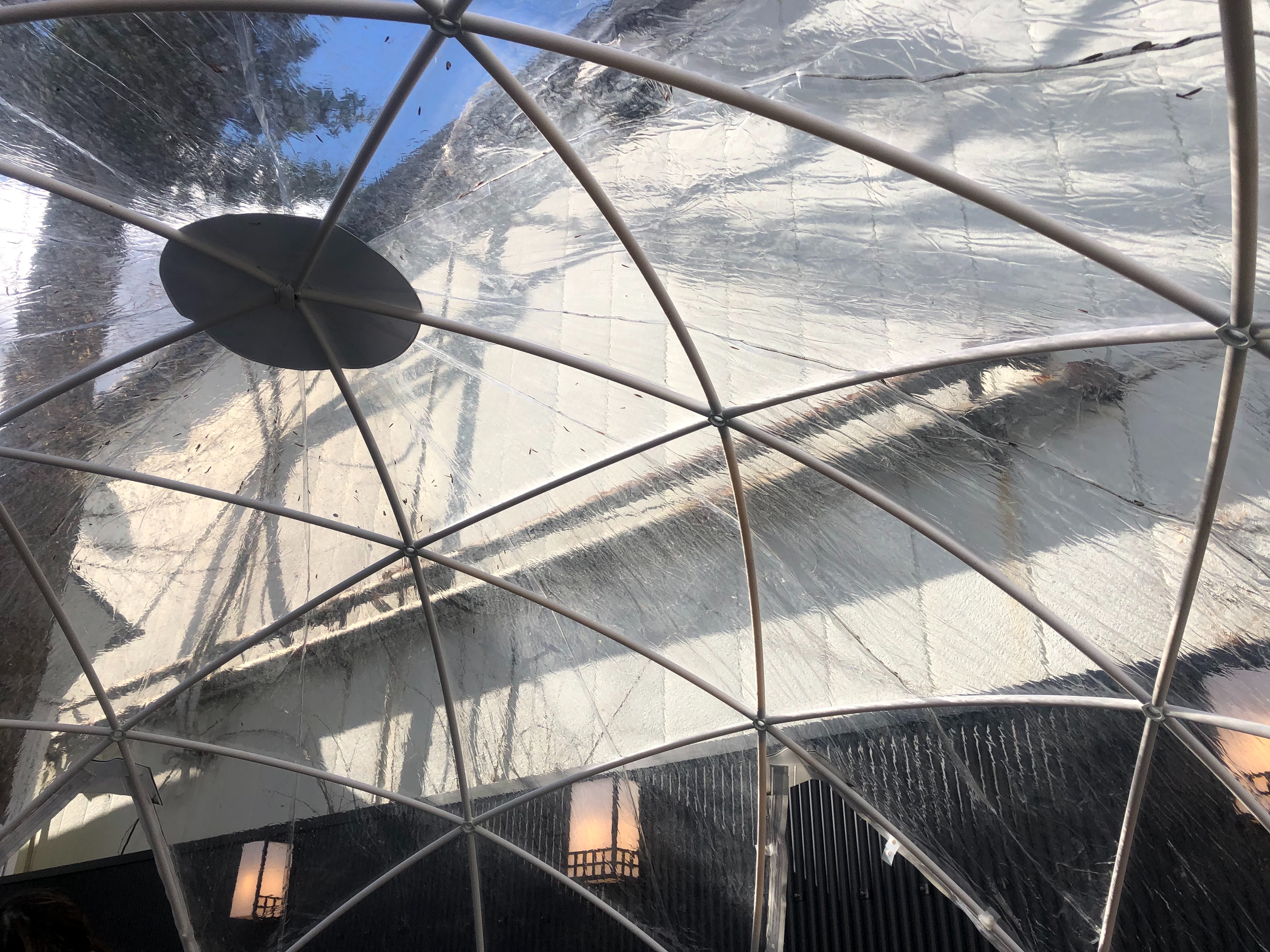 f:id:transonic-elite:20211230063524j:image f:id:transonic-elite:20211230063524j:image