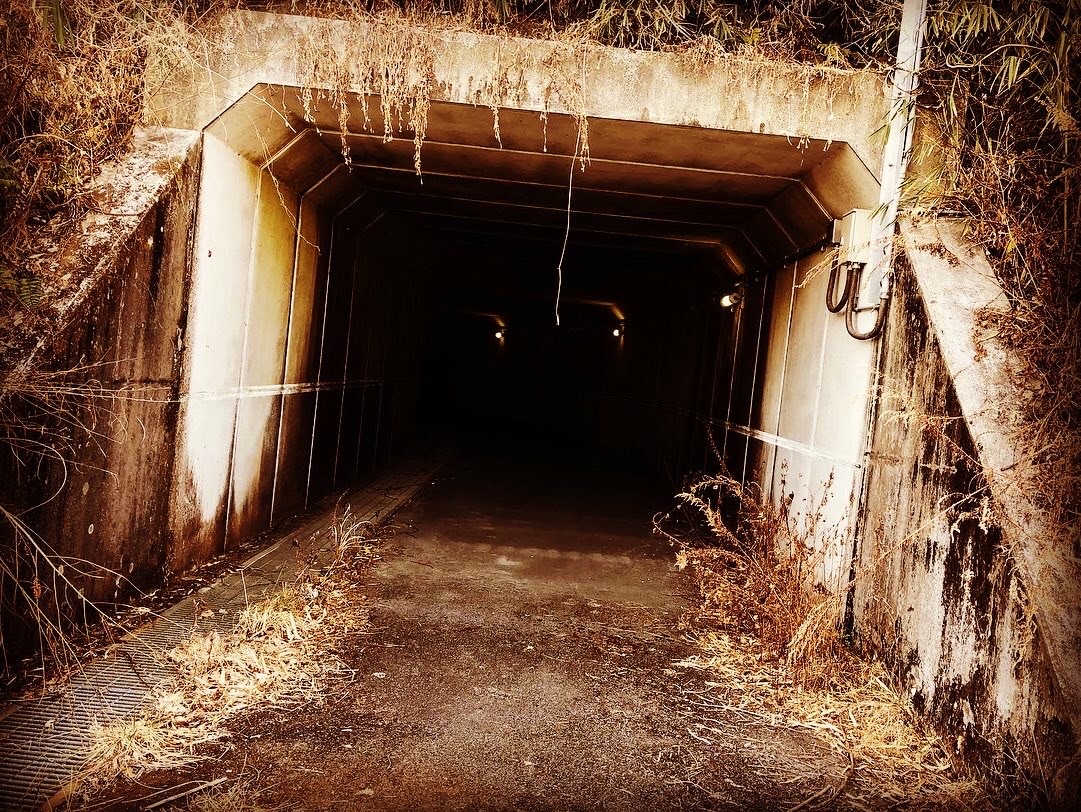 f:id:transonic-elite:20220305223807j:image f:id:transonic-elite:20220305223807j:image