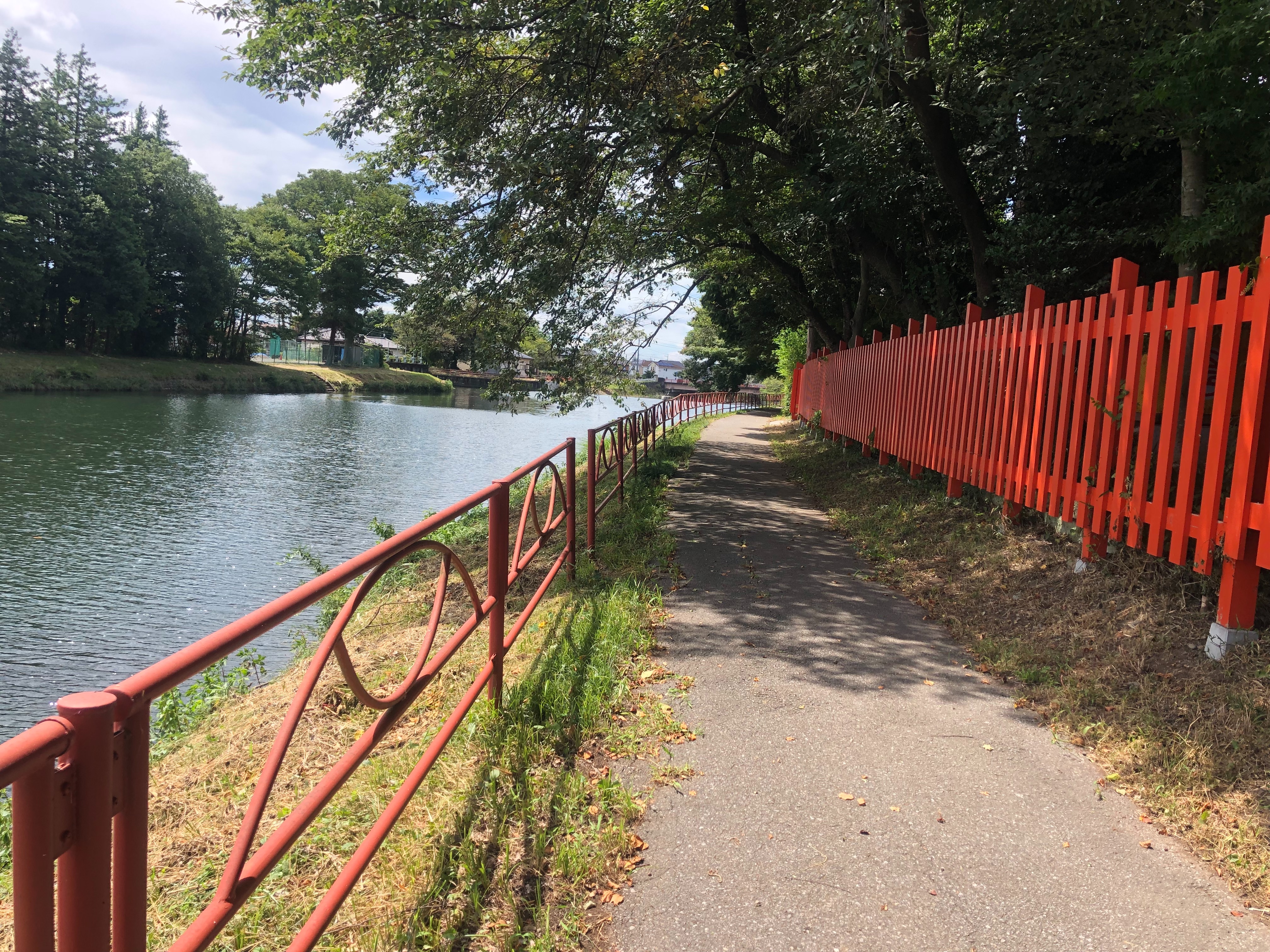 f:id:transonic-elite:20220819082324j:image f:id:transonic-elite:20220819082324j:image