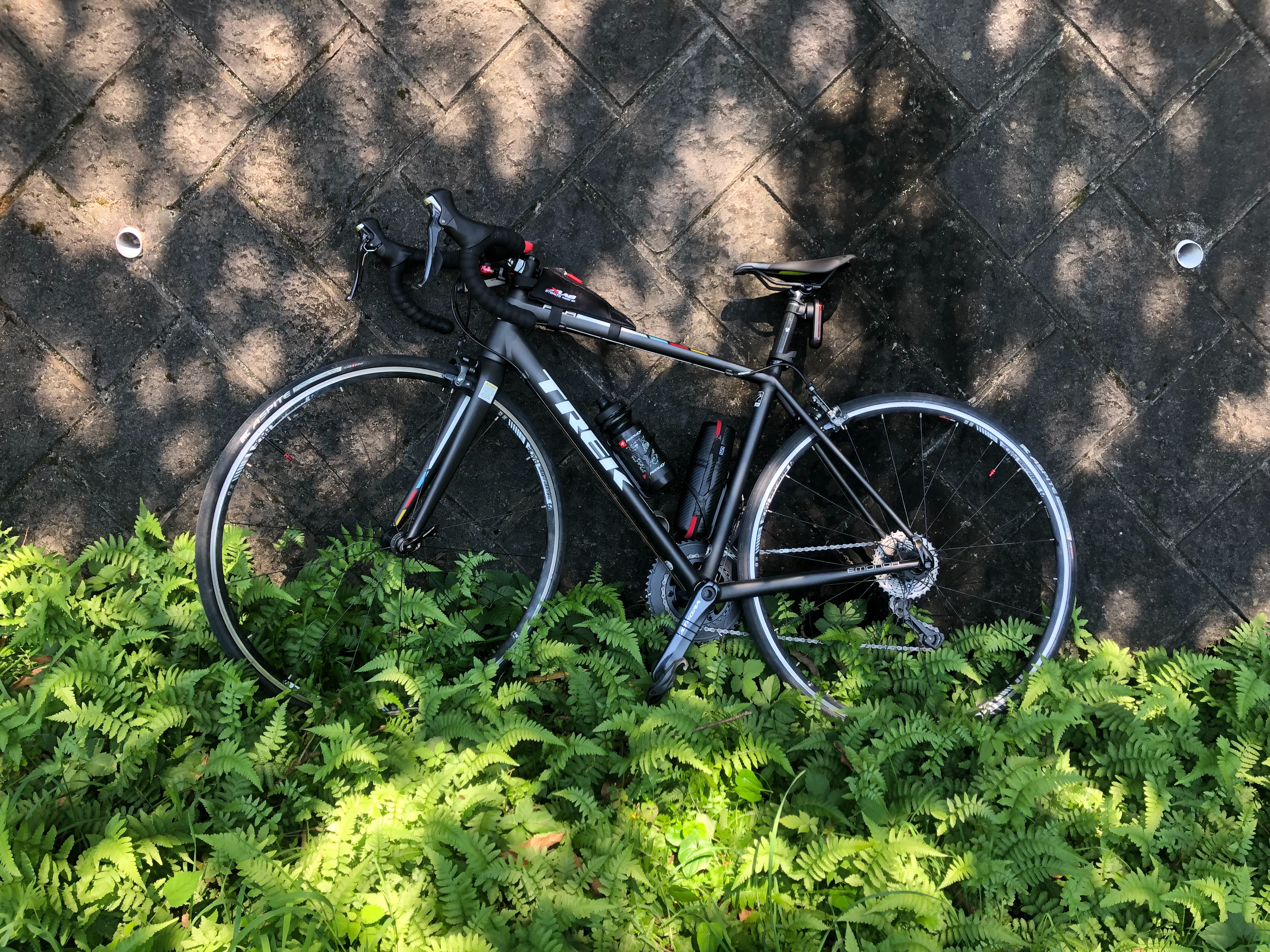 f:id:transonic-elite:20220913211040j:image f:id:transonic-elite:20220913211040j:image