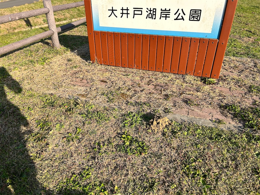 f:id:transonic-elite:20221127021219j:image