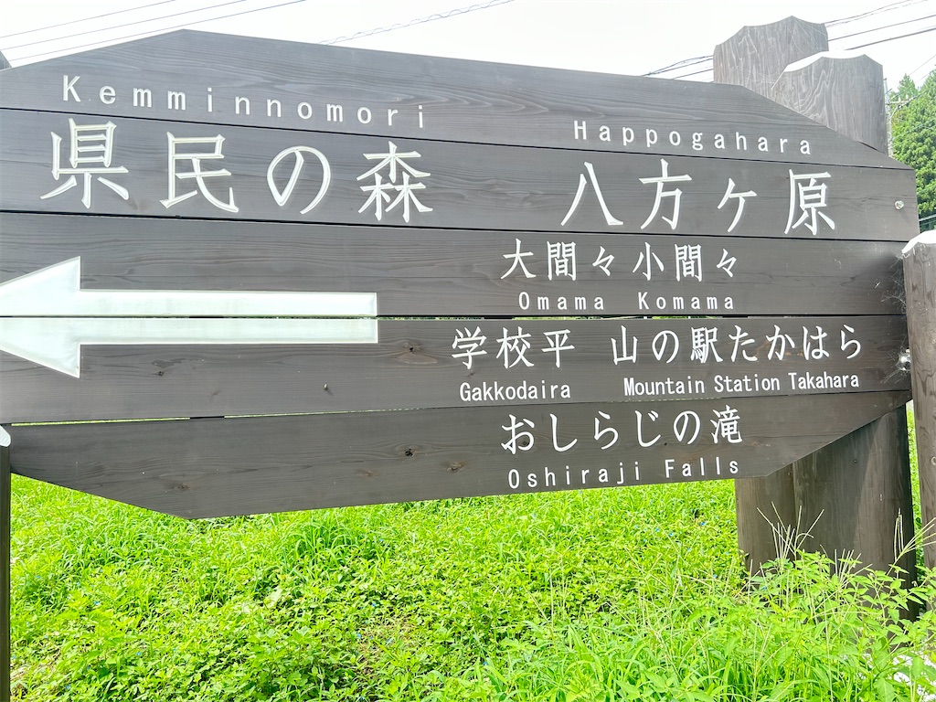 f:id:transonic-elite:20230911224100j:image f:id:transonic-elite:20230911224100j:image