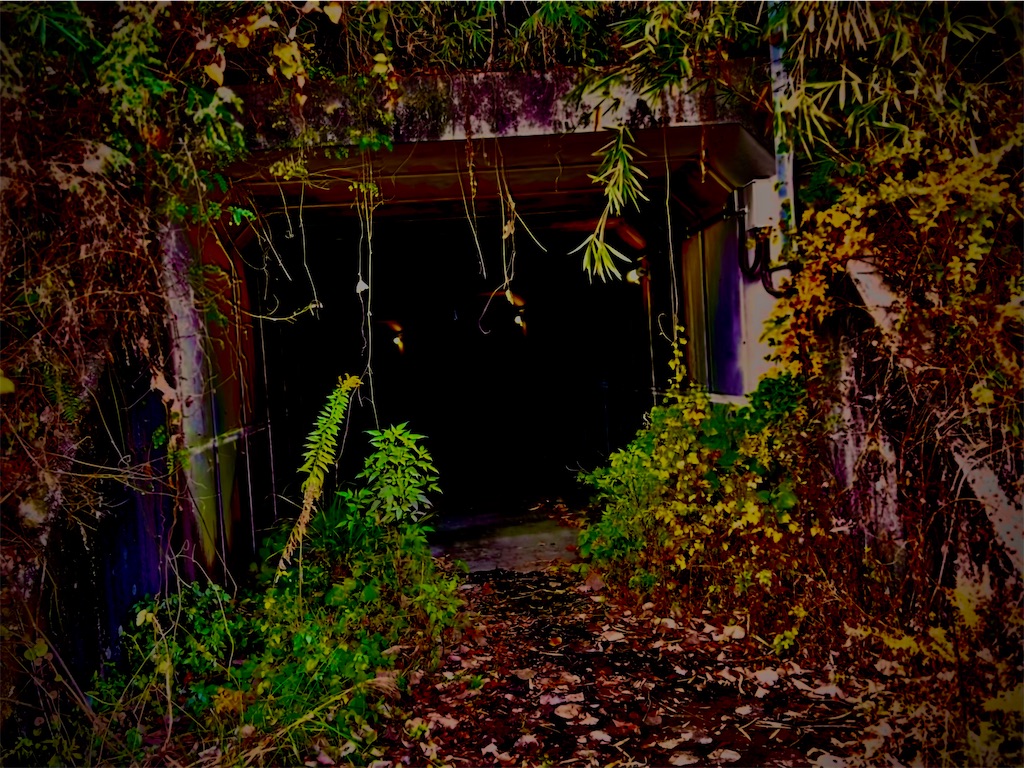 f:id:transonic-elite:20231125183900j:image