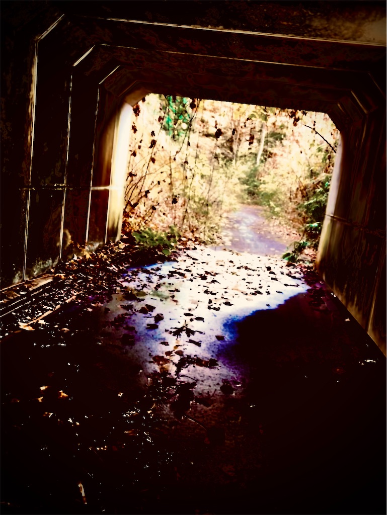 f:id:transonic-elite:20231125183908j:image