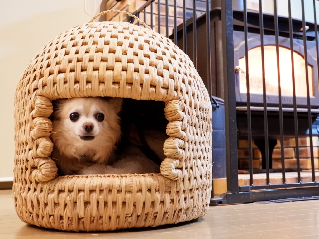 つぐら ちぐら 犬猫つぐら