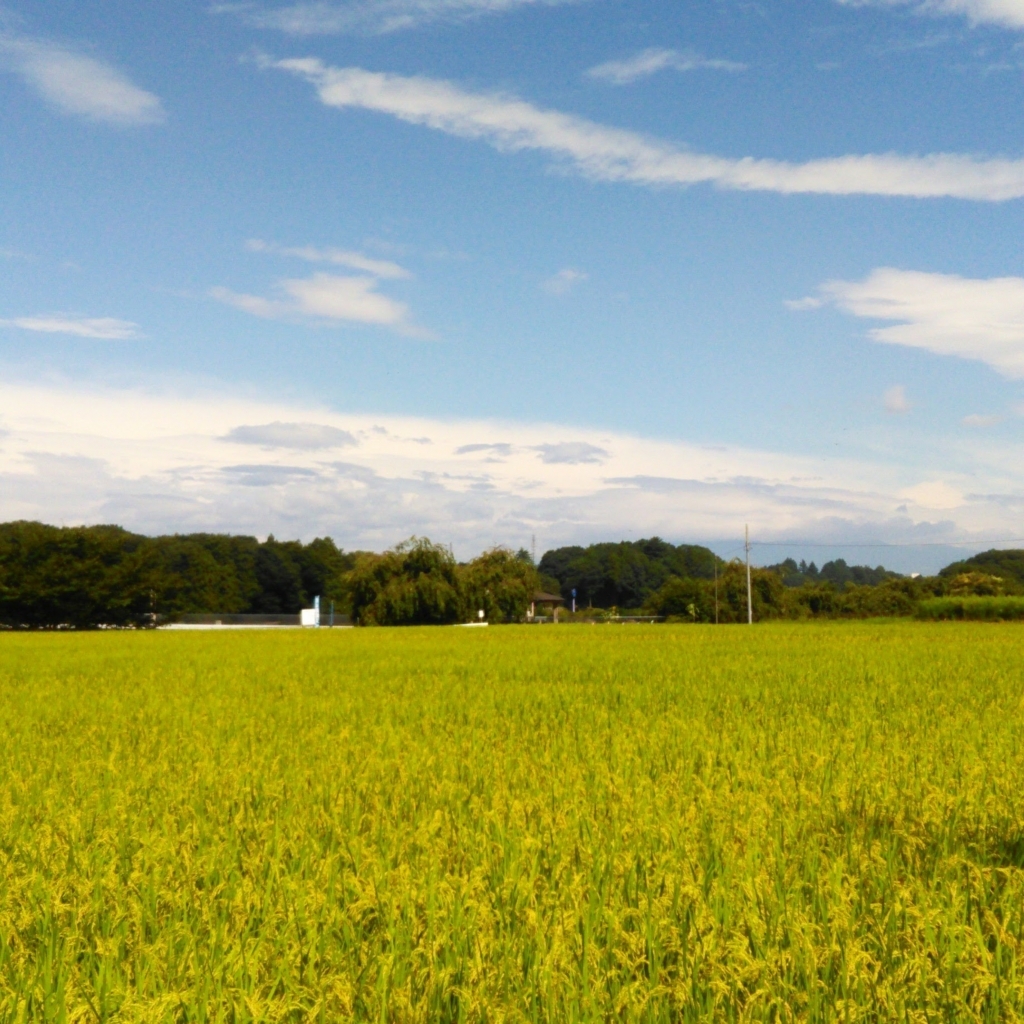 f:id:trash-4559:20170906225339j:plain