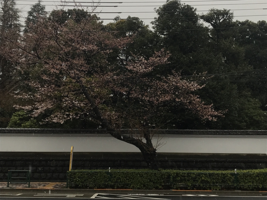 f:id:trasque:20180325235848j:plain f:id:trasque:20180325235848j:plain