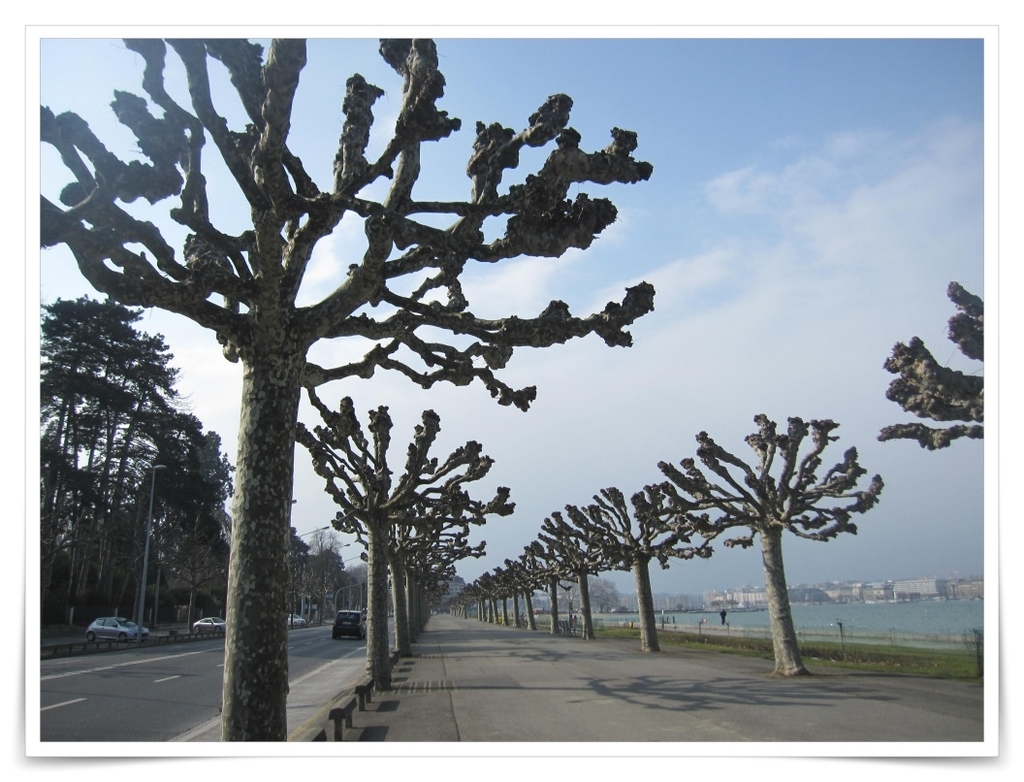 f:id:travel-diary:20181230140225j:plain f:id:travel-diary:20181230140225j:plain
