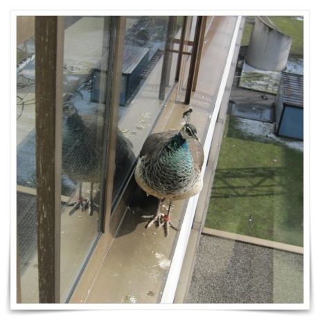 f:id:travel-diary:20190103183713j:plain f:id:travel-diary:20190103183713j:plain
