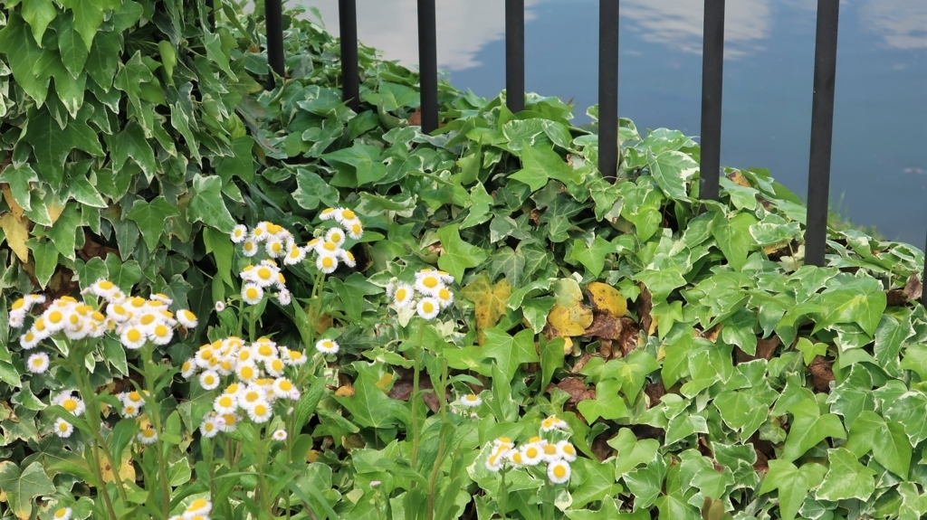 f:id:travel_jarna:20180419192649j:plain