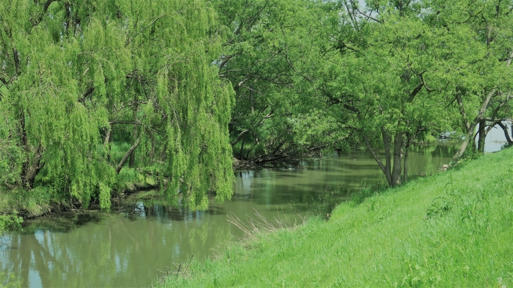 f:id:travel_jarna:20180419192651j:plain