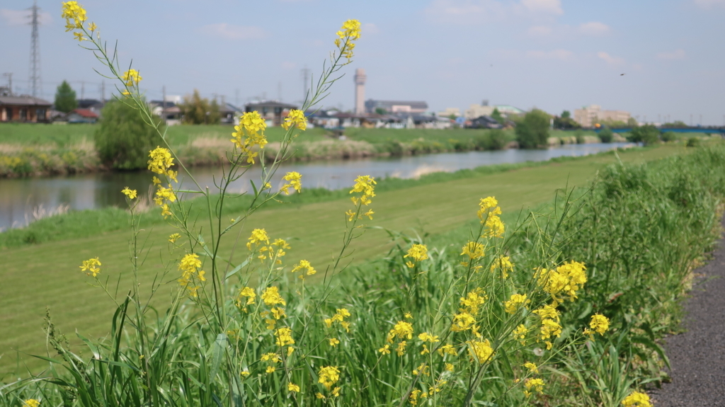 f:id:travel_jarna:20180419192655j:plain