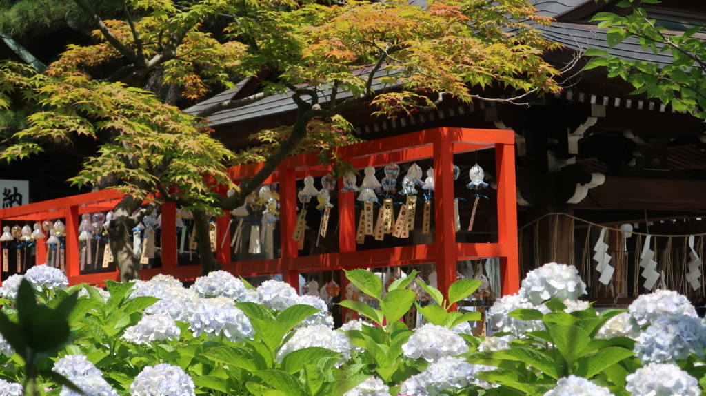 f:id:travel_jarna:20180710174218j:plain