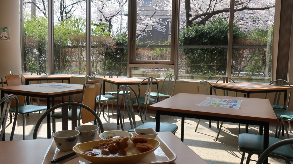 東京農業大　桜