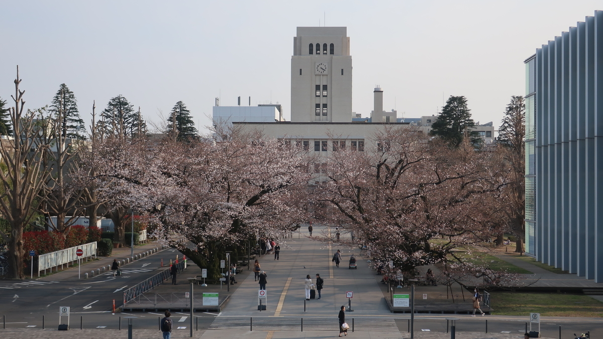 東工大の桜