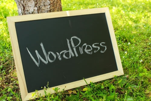 無料はてなブログは辞めて、一日でも早くWordPerssを始めよう