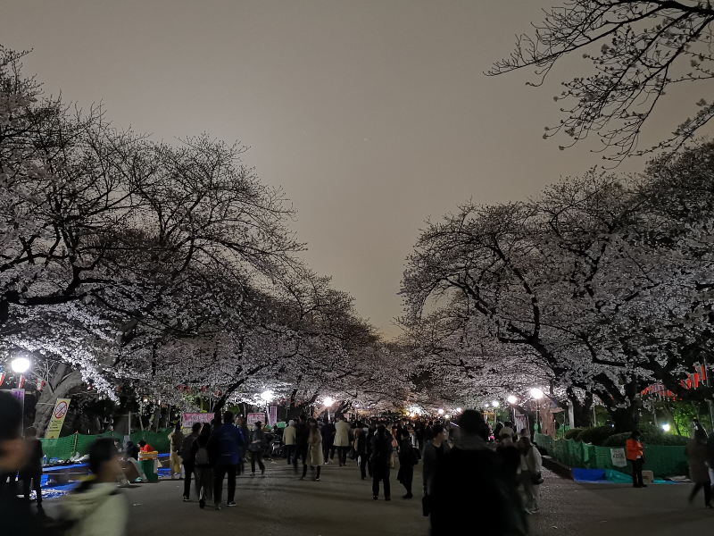f:id:travelart:20190330182206j:plain f:id:travelart:20190330182206j:plain