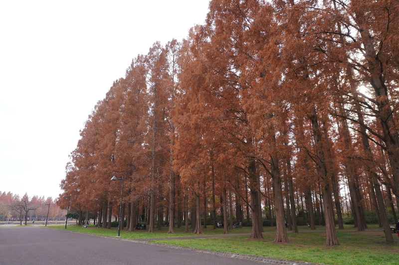 f:id:travelart:20201212222116j:plain