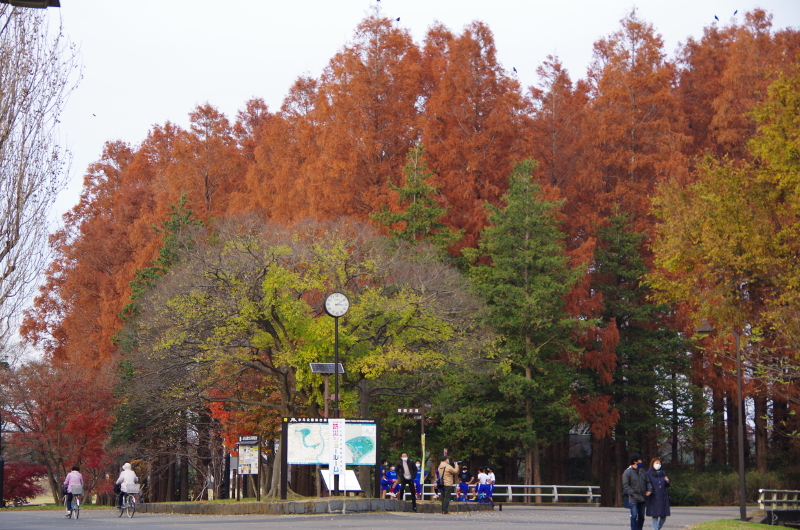 f:id:travelart:20201212223333j:plain