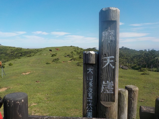 f:id:traveler-cipher:20200319080318j:image f:id:traveler-cipher:20200319080318j:image