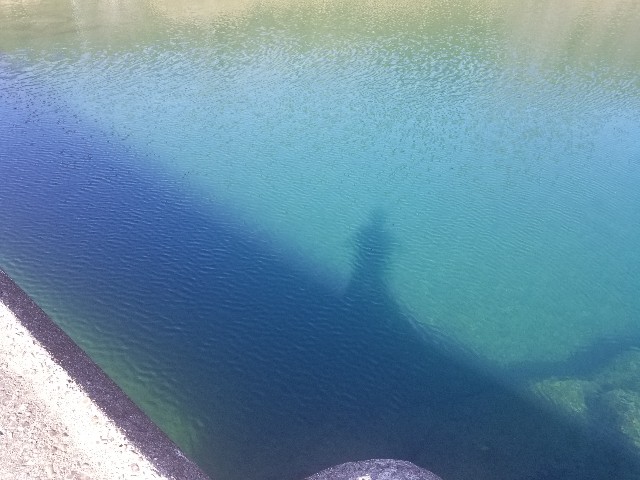 f:id:traveler-cipher:20200326201728j:image f:id:traveler-cipher:20200326201728j:image