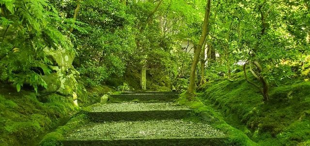 f:id:traveler-cipher:20200623102903j:image