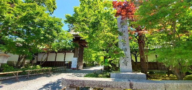 f:id:traveler-cipher:20200624193119j:image
