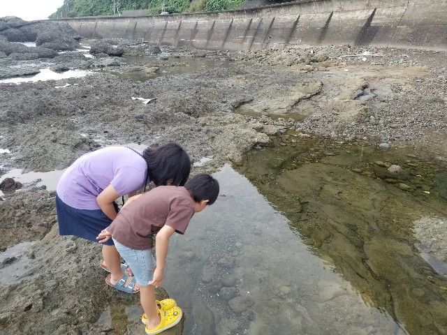 f:id:traveler-cipher:20200704222031j:image f:id:traveler-cipher:20200704222031j:image