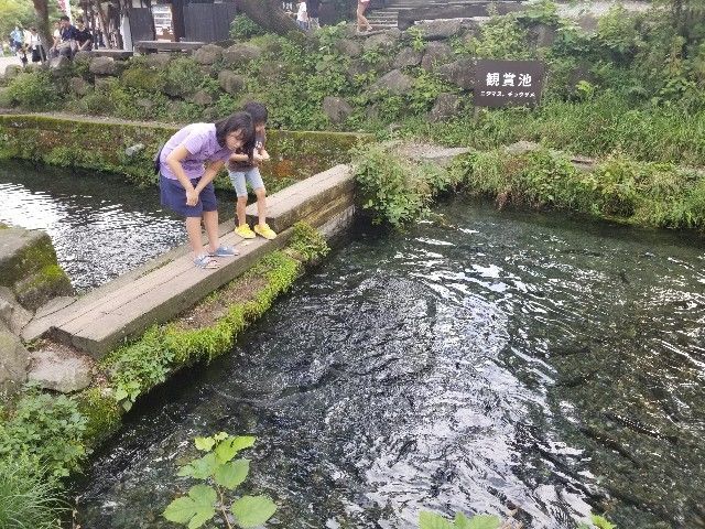 f:id:traveler-cipher:20200705093353j:image f:id:traveler-cipher:20200705093353j:image