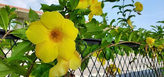 f:id:traveler-cipher:20200914120353j:image