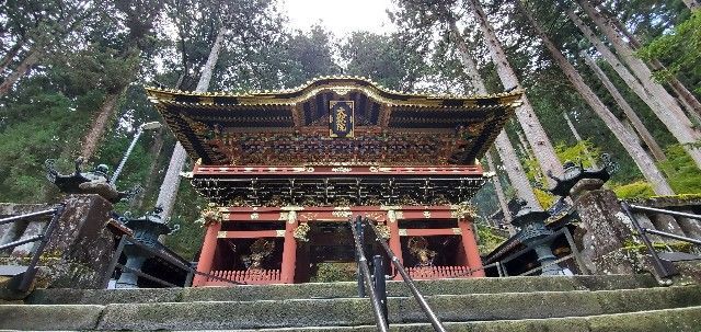 f:id:traveler-cipher:20201119105452j:image f:id:traveler-cipher:20201119105452j:image