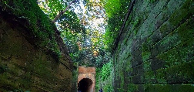 f:id:traveler-cipher:20201202133520j:image