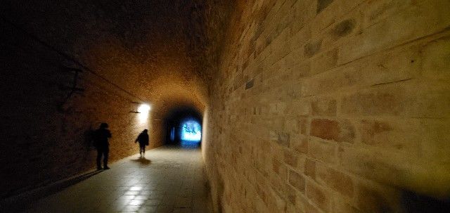 f:id:traveler-cipher:20201202133622j:image