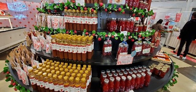 f:id:traveler-cipher:20210321193717j:image