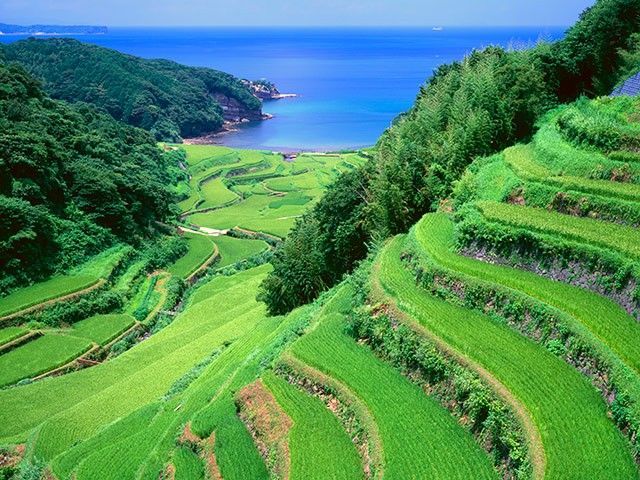 f:id:traveler-cipher:20210425225007j:image