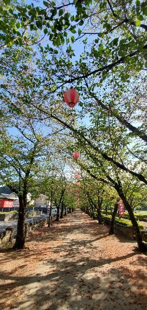 f:id:traveler-cipher:20210515125128j:image