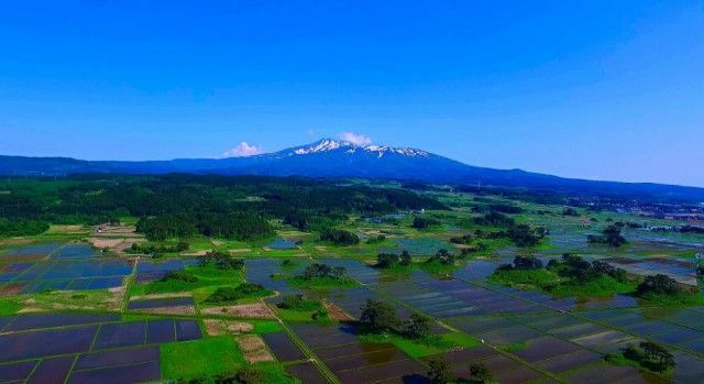 連なる山 連なる山 連なる山 ACC分岐ハーネスKIT MT090WP 4P カワサキ ZX-25R等