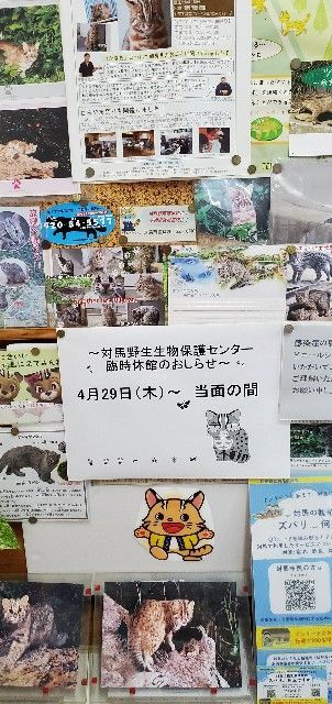 f:id:traveler-cipher:20211027210051j:image