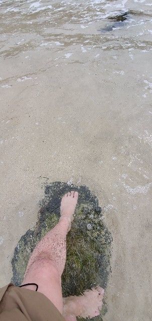 f:id:traveler-cipher:20211027212227j:image f:id:traveler-cipher:20211027212227j:image