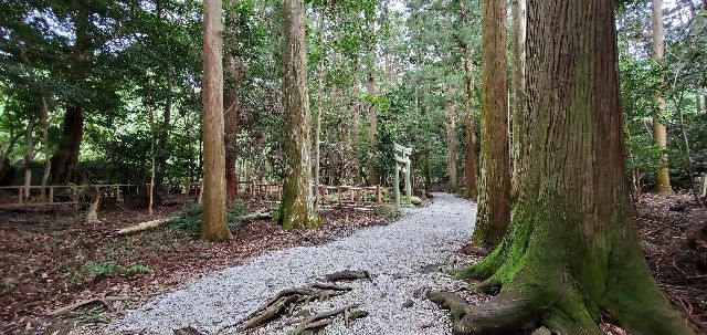 f:id:traveler-cipher:20211103230942j:image f:id:traveler-cipher:20211103230942j:image