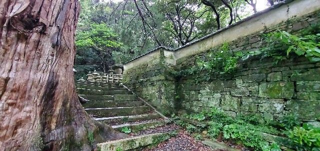 f:id:traveler-cipher:20211112194254j:image